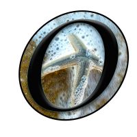 Children and Youth Partnership, Hatteras Island soon to have no year-round licensed child care facility