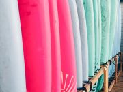 Kitty Hawk Surf Co., The Board Meeting