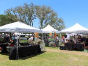Under the Oaks Arts Festival