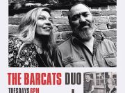 NC Coast Grill & Bar, The Bar Cats