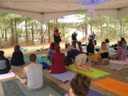 Scott Lawlor Yoga, Shakori Hills Grassroots Festival Healing Arts Tent