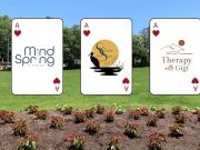 Duck Town Park, Fitness on the Green: Wildcard Wednesday