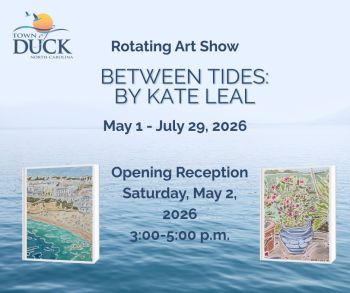 Duck Town Park, Rotating Art Shows Opening Reception: Kate Leal