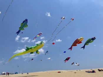 Kitty Hawk Kites, Fly into Spring Kite Festival