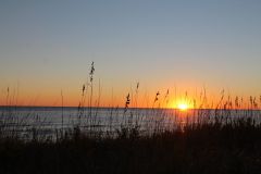Sun Realty photo