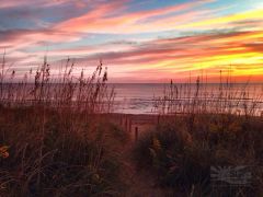 Sun Realty photo