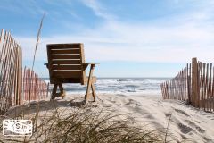 Sun Realty photo