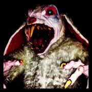 Wicked Woods Haunted Attraction photo