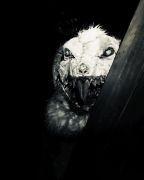 Wicked Woods Haunted Attraction photo