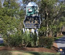 Duck Town Park photo