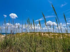 Joe Lamb, Jr. &amp; Associates photo