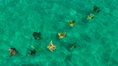 Joe Lamb, Jr. &amp; Associates photo