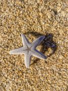 Joe Lamb, Jr. &amp; Associates photo