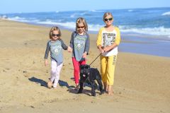 Ocean Atlantic Rentals photo