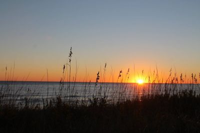 Sun Realty photo