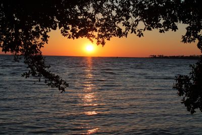 Sun Realty photo