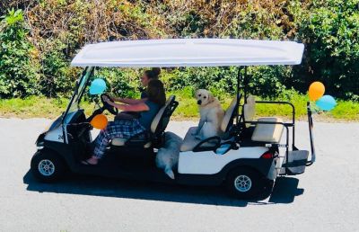 Outer Banks Beach Buggies photo