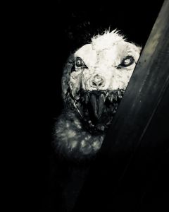 Wicked Woods Haunted Attraction photo
