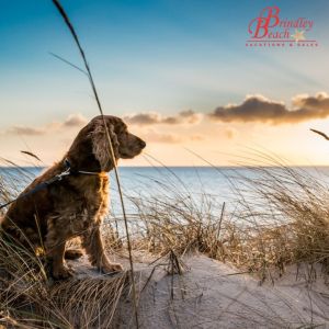 Brindley Beach Vacations photo