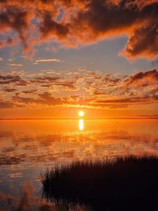 Brindley Beach Vacations photo