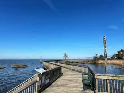 Duck Town Park photo