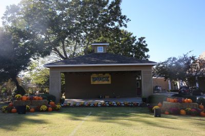 Duck Town Park photo