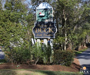 Duck Town Park photo