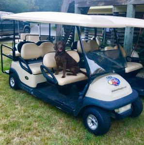 Outer Banks Beach Buggies photo