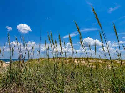 Joe Lamb, Jr. &amp; Associates photo