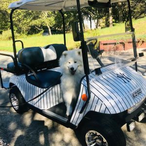 Outer Banks Beach Buggies photo