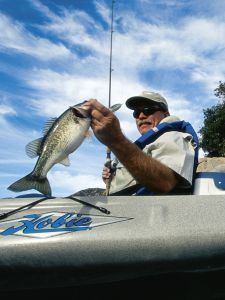 Kitty Hawk Kites photo
