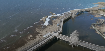 Duck Town Park photo