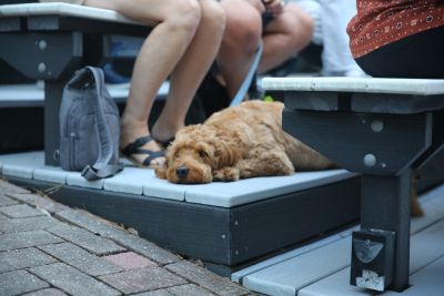 Duck Town Park photo