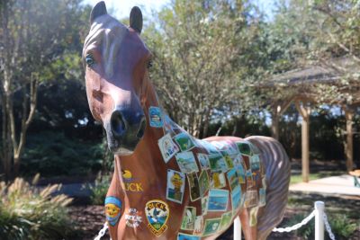 Duck Town Park photo