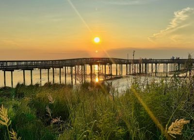 Duck Town Park photo