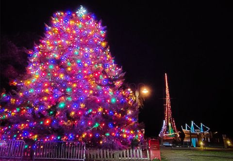 Christmas Tree Lighting