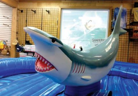 Kitty Hawk Surf Co., Ride the Shark