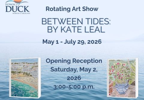 Duck Town Park, Rotating Art Show