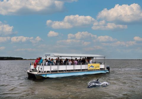 Kitty Hawk Kites, Outer Banks Dolphin Tours