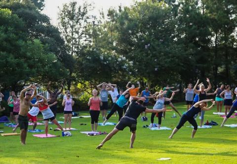 Duck Town Park, Dynamic Flow on the Green
