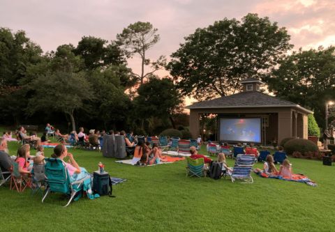 Duck Town Park, Movies on the Green
