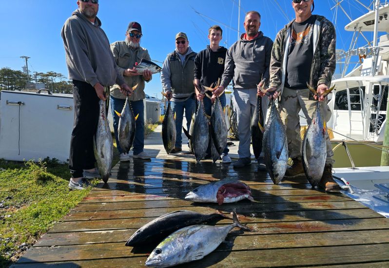 Offshore gamefish