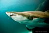 North Carolina Aquarium on Roanoke Island