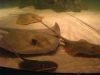 North Carolina Aquarium on Roanoke Island
