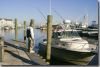 Pirate's Cove Marina