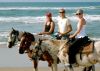 Equine Adventures