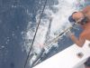 Gecko Sportfishing