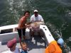 Phideaux Fishing