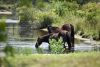 Wild Horse Adventure Tours