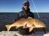 Fish Ocracoke